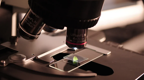 Was machen Objektivlinsen an einem Mikroskop.png